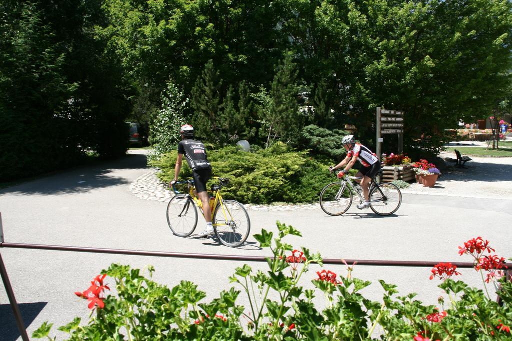 فندق Camping Le Colporteur Le Bourg-dʼOisans المظهر الخارجي الصورة